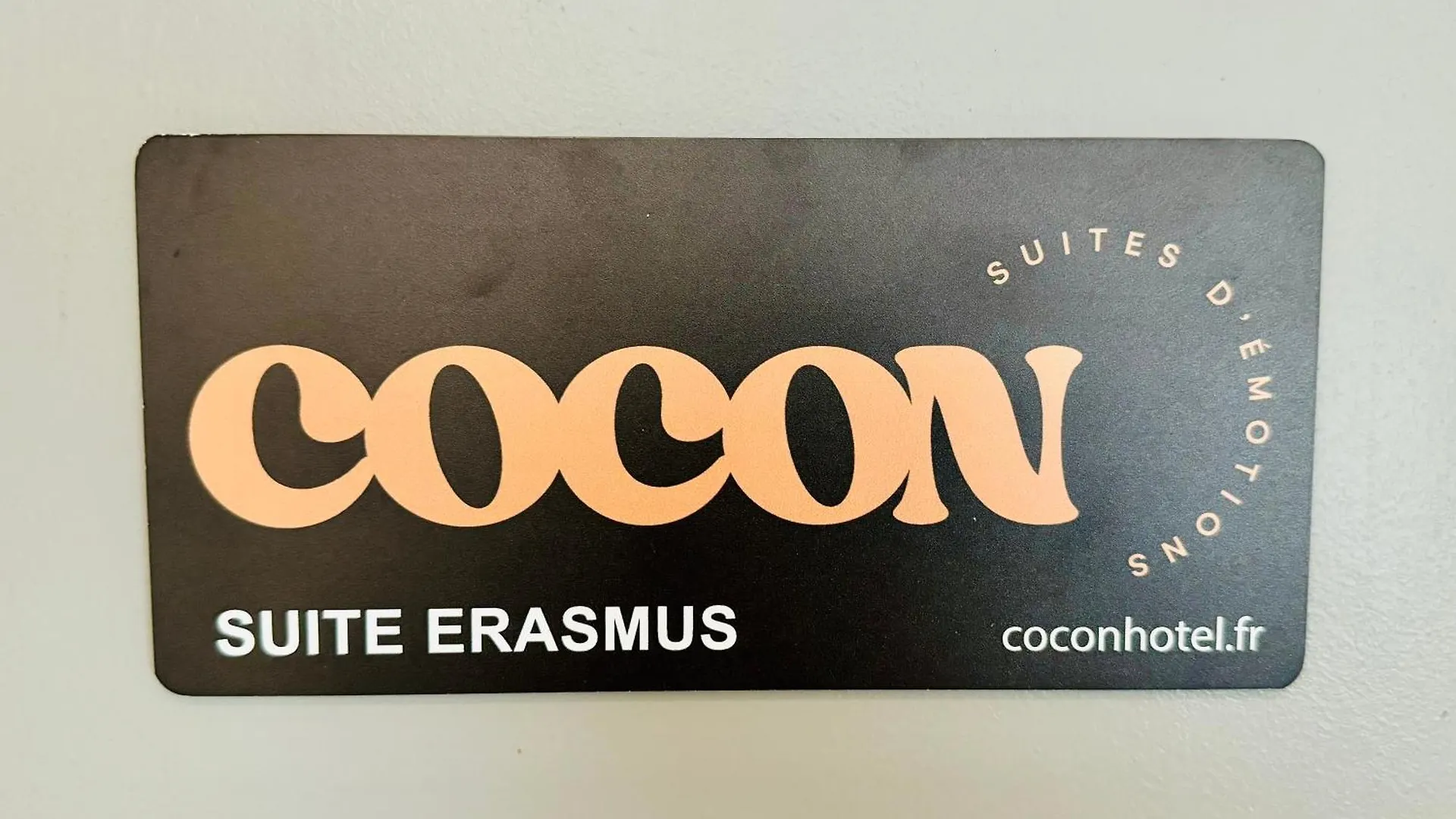 Suite Erasmus Lyon 0*,